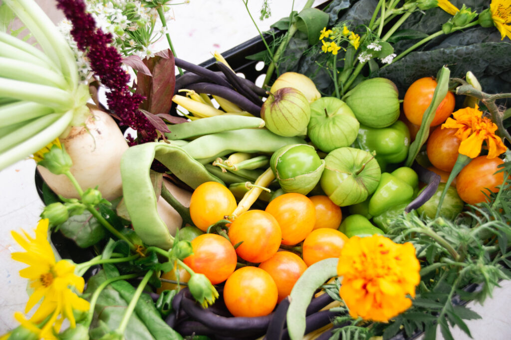 Join The Stop’s Board of Directors and Help Feed Our Community