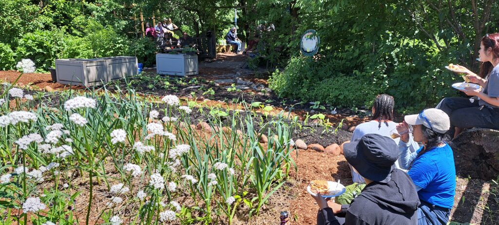 Mashkikii;aki’ing garden